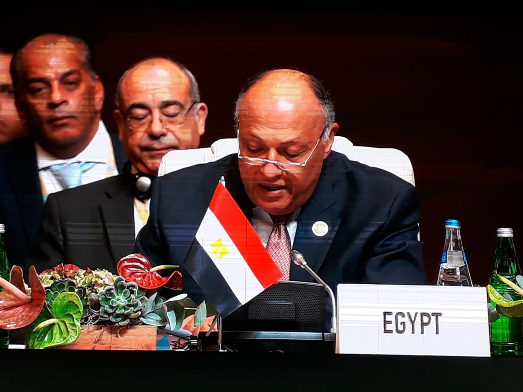 Глава МИД Египта: Представители Движения неприсоединения должны выступать единым фронтом