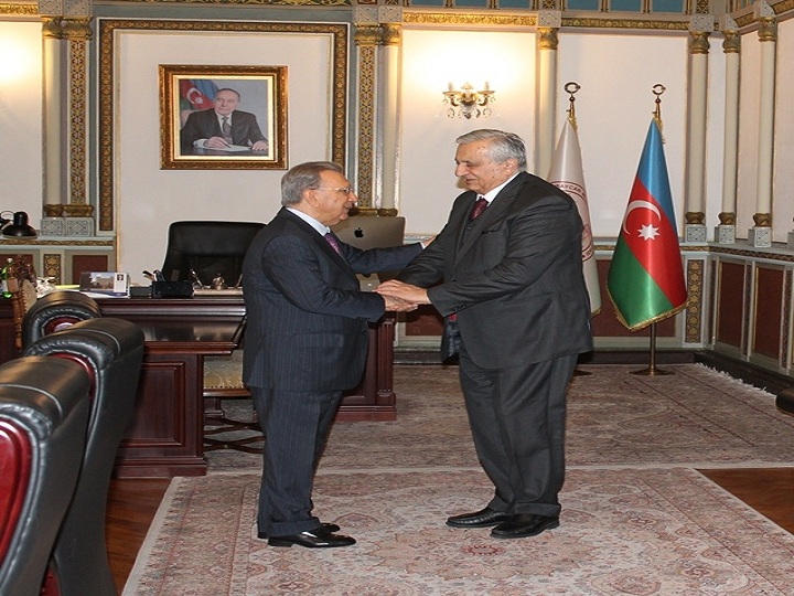 Akademik Ramiz Mehdiyev Gürcüstan Milli Elmlər Akademiyasının vitse-prezidenti ilə görüşüb