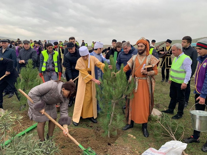Посадим за один день 650 тысяч деревьев: Жители Абшерона активно участвуют в широкомасштабной кампании - ФОТО