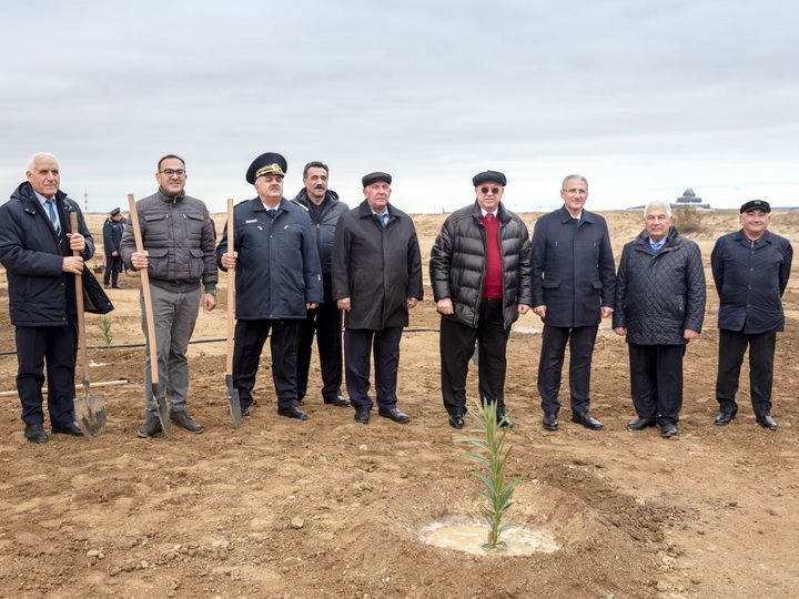 AZAL принял участие в акции по посадке деревьев - ФОТО