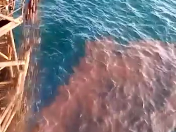 «Азнефть» расследует распространяющийся в соцсетях ролик, где сливают отходы в море – ВИДЕО