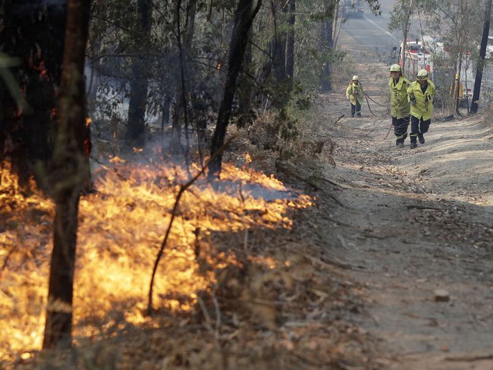Эксперты назвали сумму убытков для экономики Австралии из-за пожаров