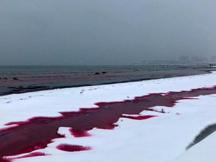 Каспийское море стало «кровавым»: видео удивительного явления - ВИДЕО