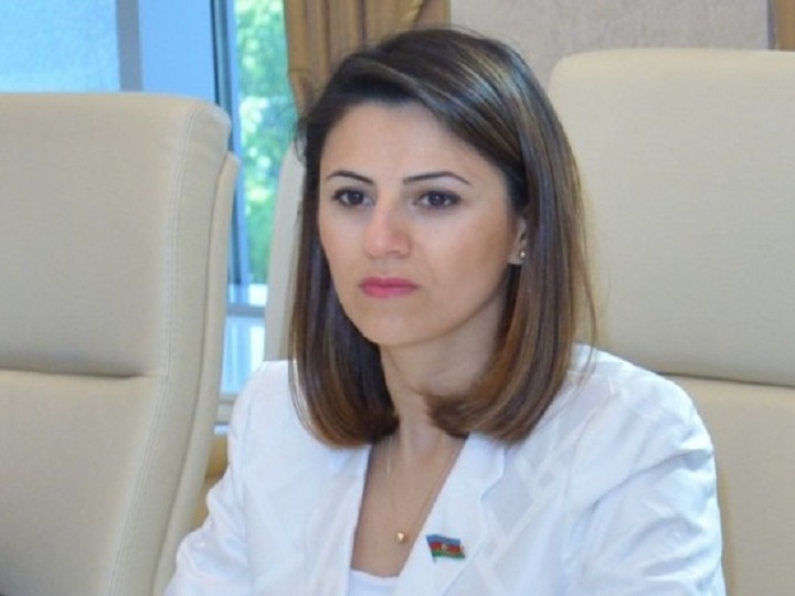 Sevinc Fətəliyeva: Prezident İlham Əliyev Paşinyana tarix dərsi keçdi