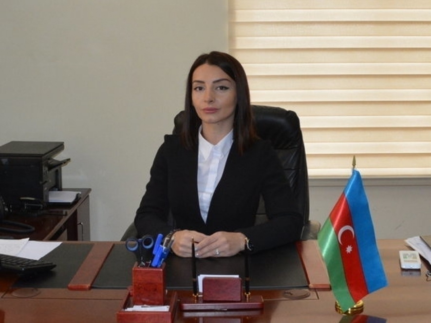 МИД: У армянской стороны нет никакого права обвинять Азербайджан по вопросам истории и демократии
