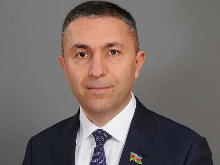 Депутат Таир Миркишили призвал частный сектор поддержать государство в борьбе с коронавирусом