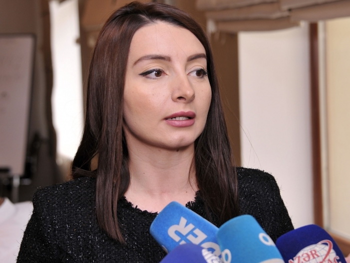 Лейла Абдуллаева: Азербайджанское государство мобилизовало все возможности для обеспечения безопасности граждан