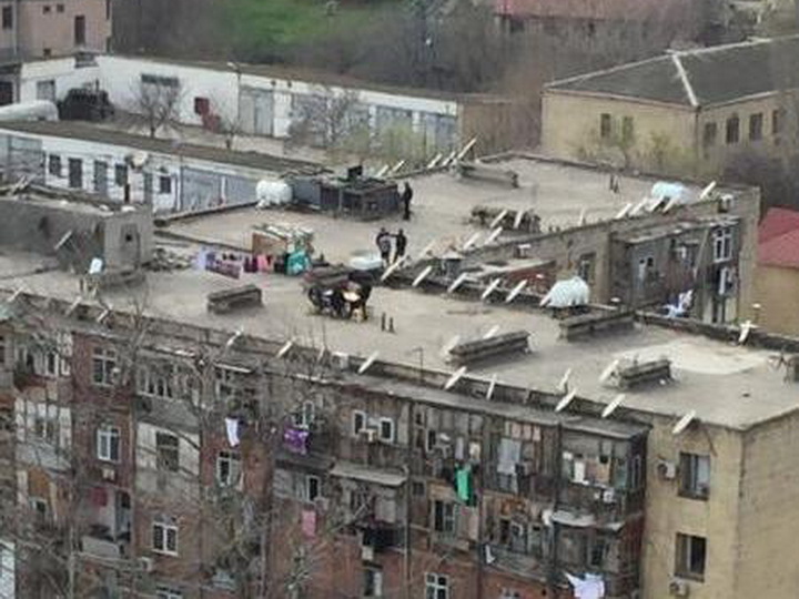 На крыше дома своего: бакинцы нашли необычный способ обойти карантин – ФОТО