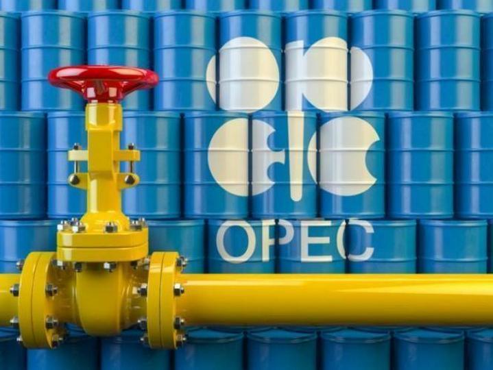 OPEC+ ölkələrinin gələn həftə iclası keçirilə bilər