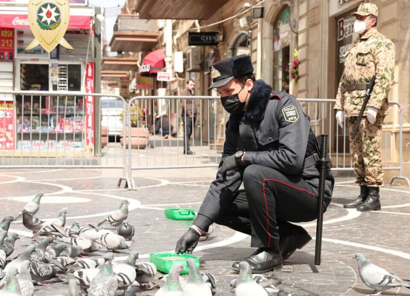 Сотрудники полиции покормили диких голубей в Баку – ФОТО 