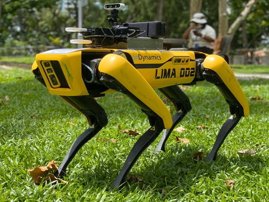 В Сингапуре за людьми теперь следят собаки-роботы: «Соблюдайте дистанцию!» – ВИДЕО