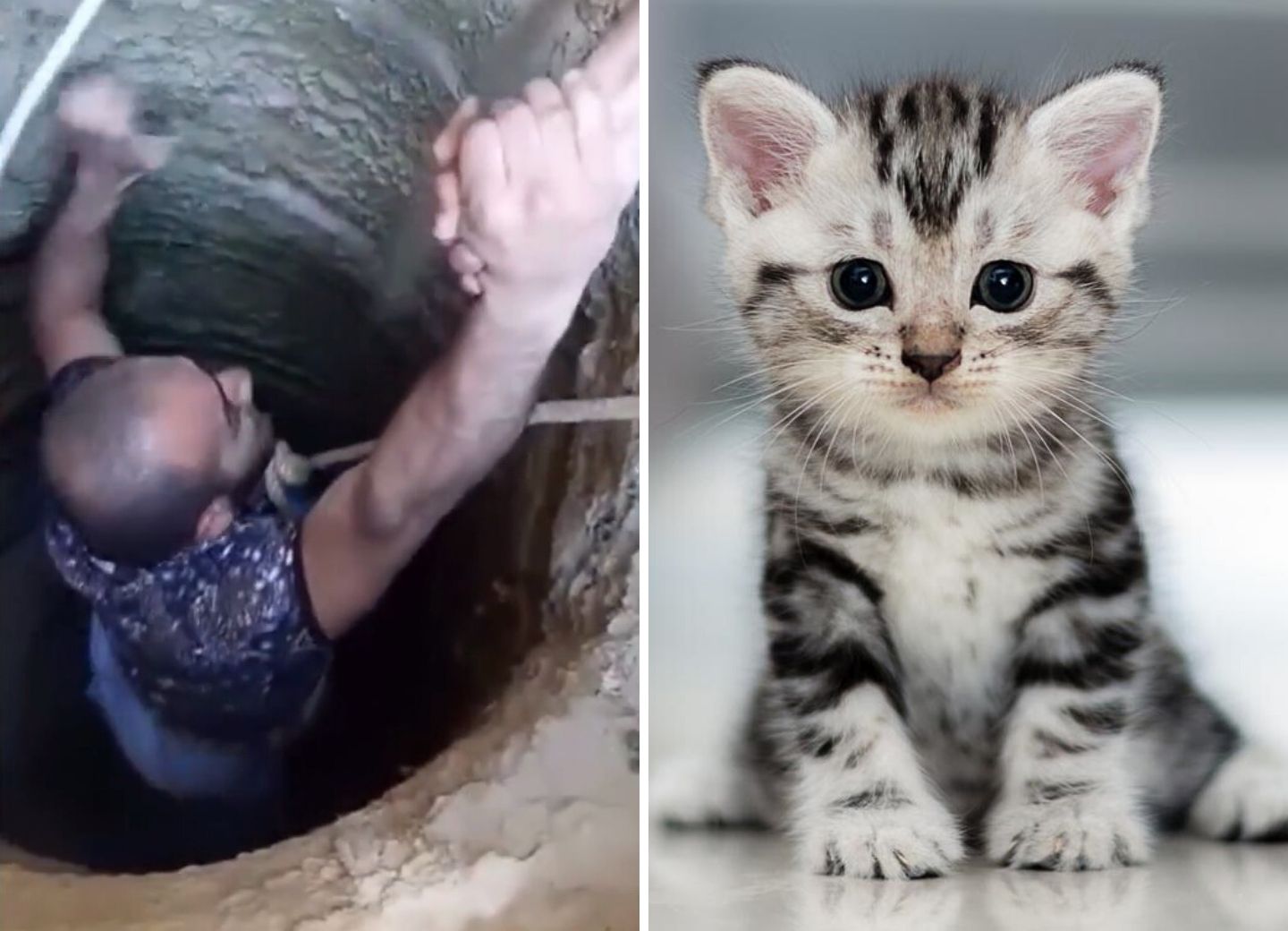 Как спасали котенка у крепостных стен Ичери шехер - ВИДЕО