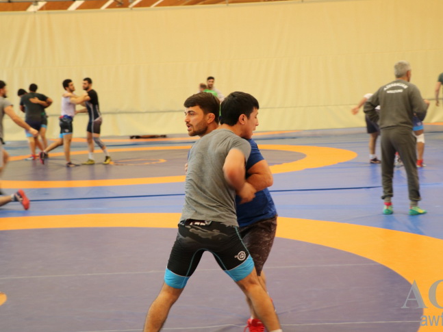 Спорт возвращается. Сборные Азербайджана будут тренироваться на закрытых аренах