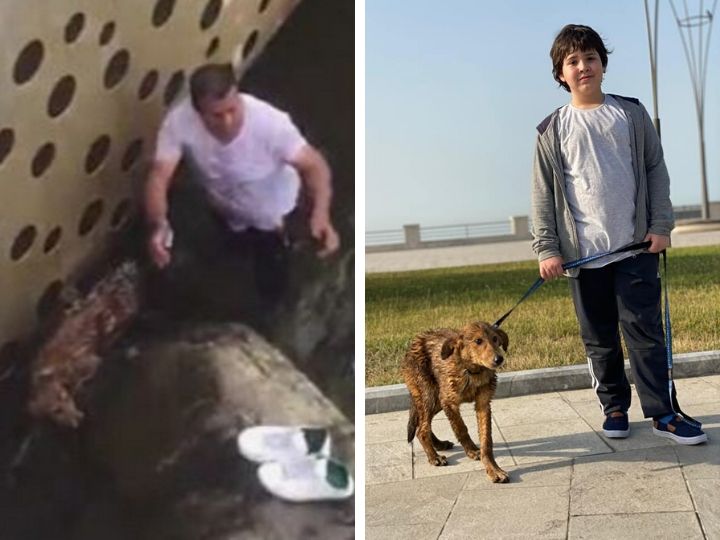 Герои нашего времени. В Баку мужчина спас тонущую собаку – ФОТО – ВИДЕО