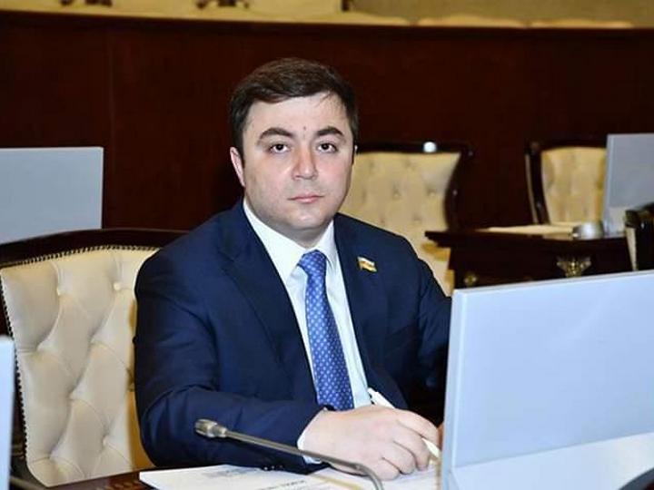 Эмин Гаджиев: Предпринятые в Азербайджане своевременные и верные шаги уберегли страну от глубокого кризиса