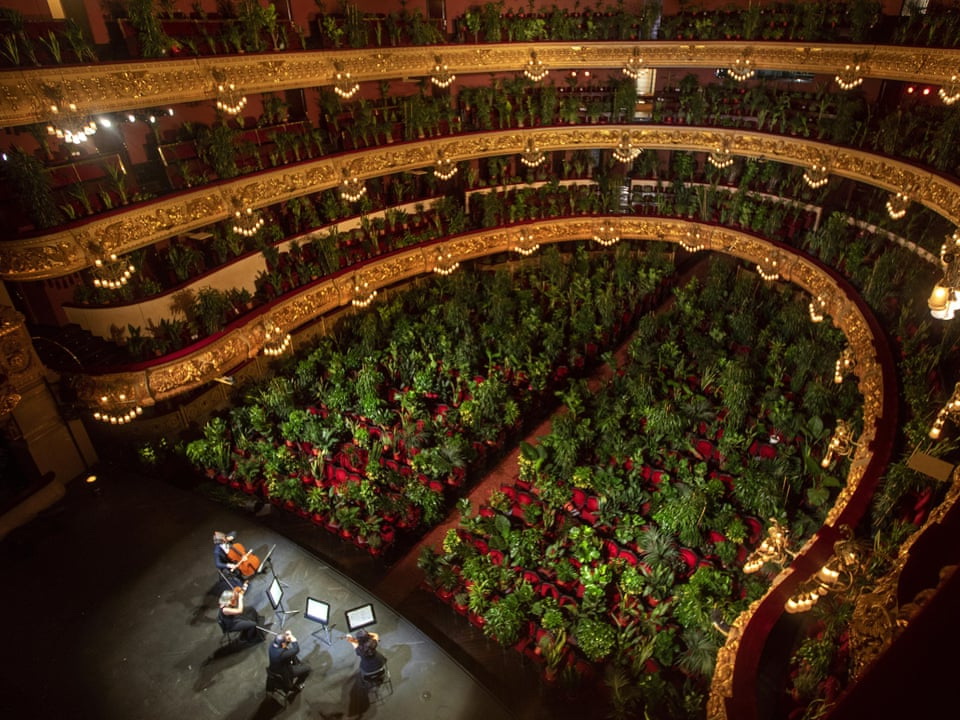 Опера Барселоны вышла из карантина с необычным концертом: Растения вместо зрителей – ВИДЕО