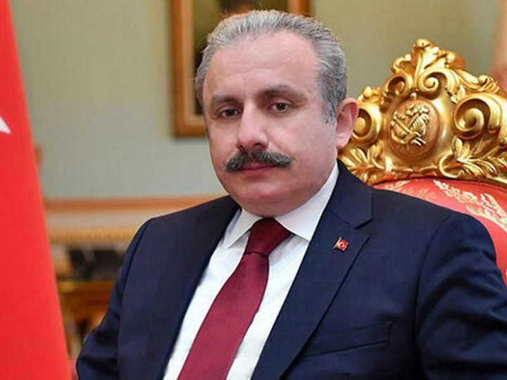 Председателем парламента Турции переизбран Мустафа Шентоп