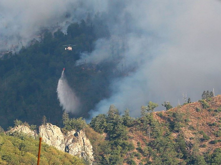 Экологический террор: Учиняемые армянами пожары на оккупированных территориях уничтожают экологию региона
