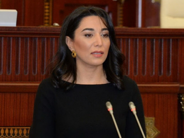 Омбудсмен: Против Армении должны быть введены серьезные санкции