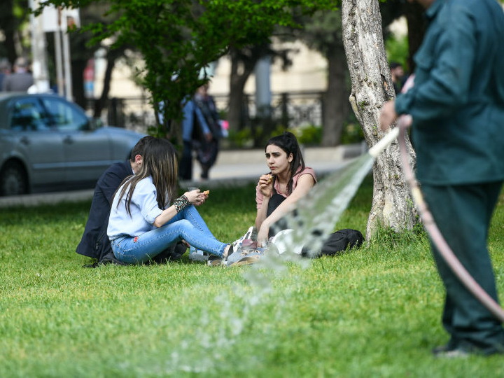 В Баку запрещено выгуливать собак и лежать на газонах? – ПОДРОБНОСТИ