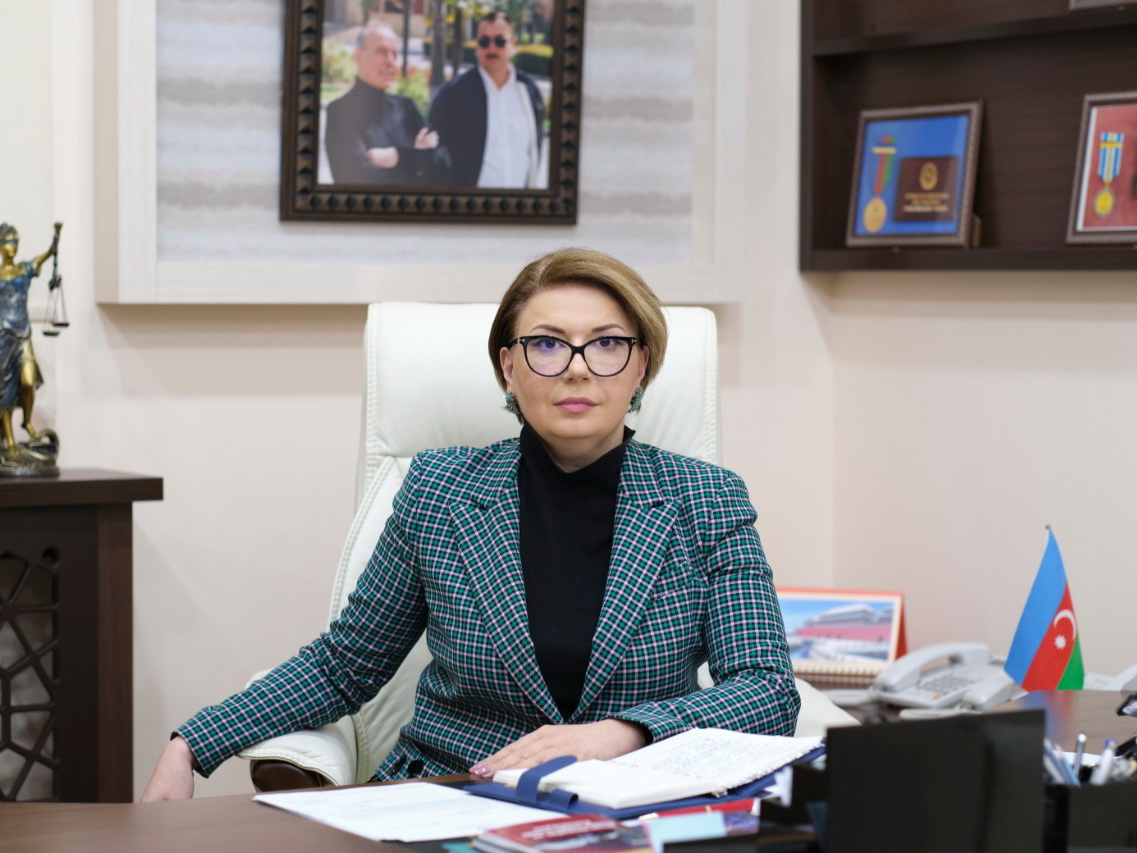 Айтен Мустафазаде: МИД и Госкомитет по диаспоре должны быть заинтересованы в книгах, посвященных Карабаху