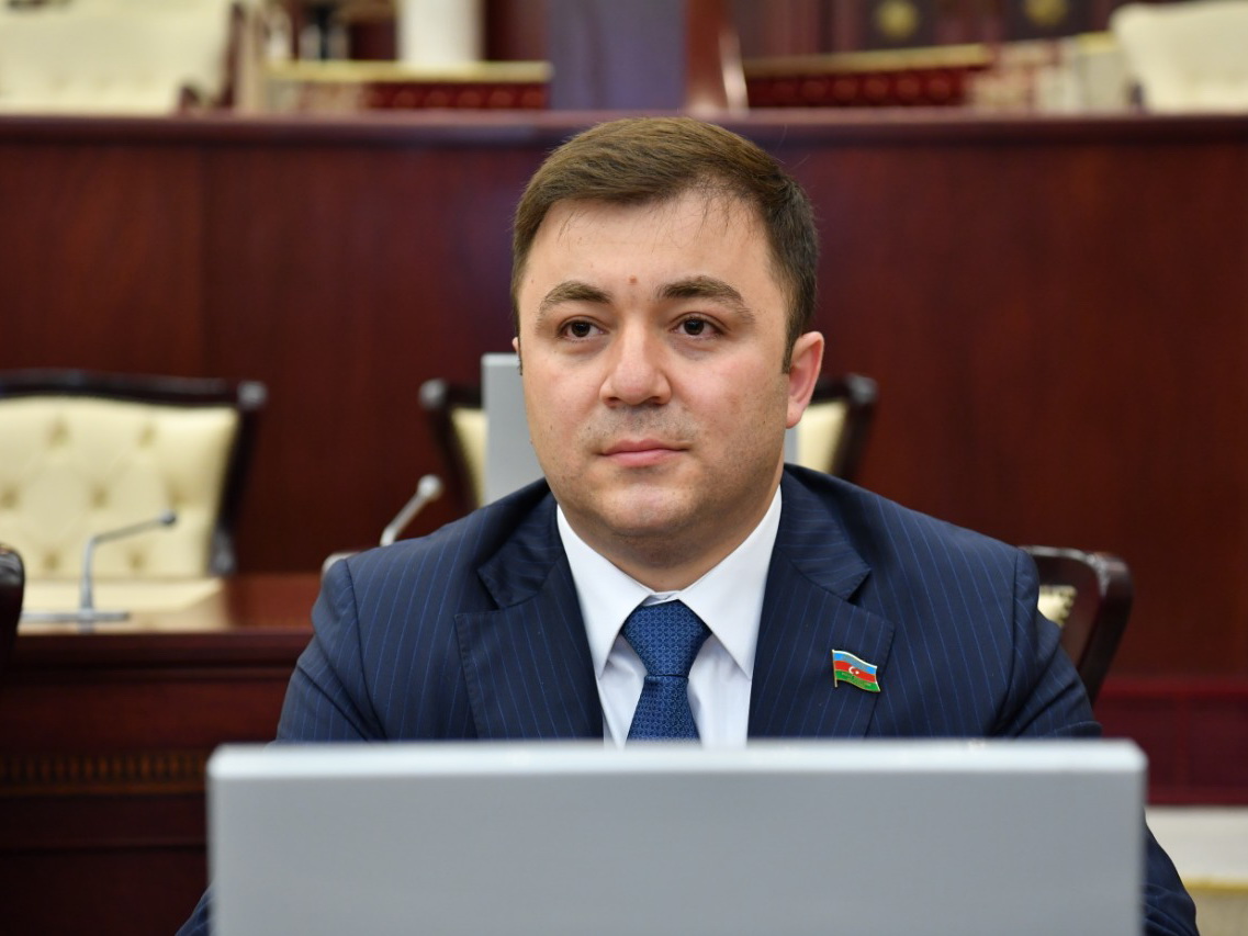 Депутат: Севиндж Османгызы укрепила свой и без того неприятный имидж в азербайджанском обществе, разоблачив себя
