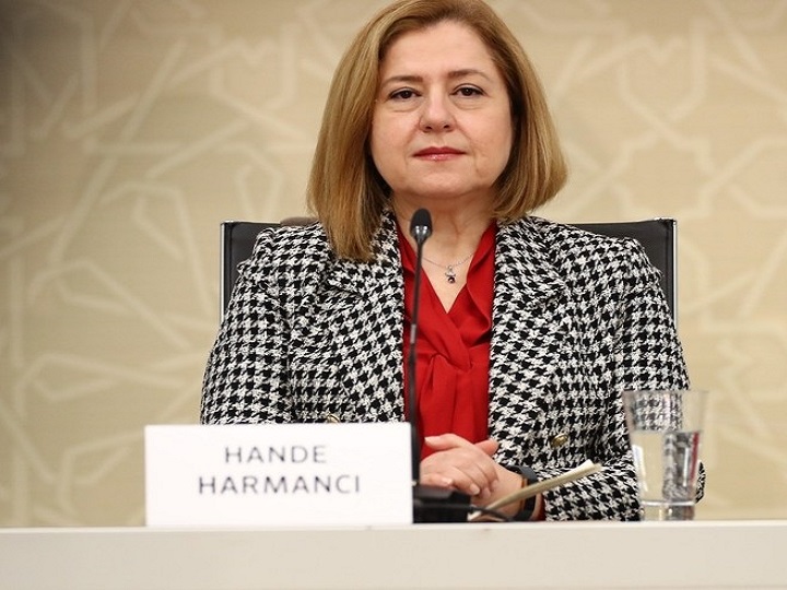Hande Harmancı: ÜST Azərbaycanda koronavirusla bağlı həyata keçirilən tədbirləri doğru hesab edir
