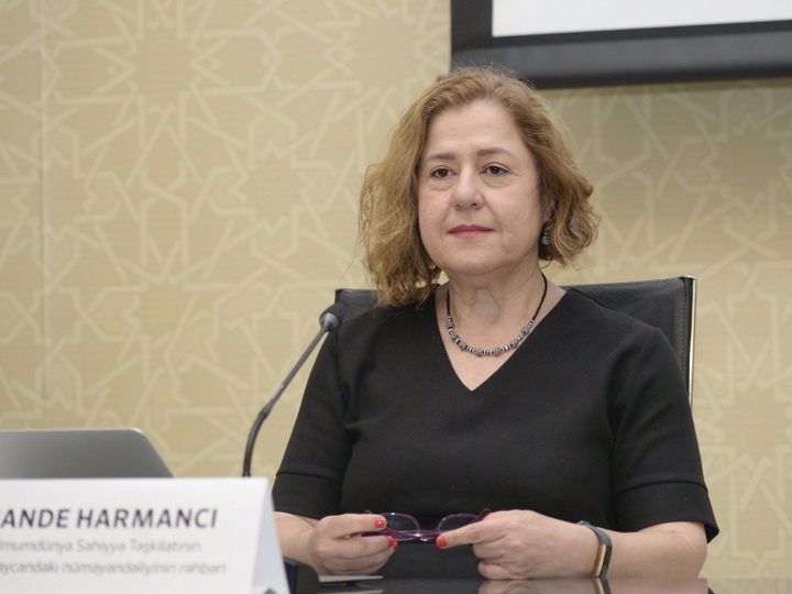 Ханде Харманджи: У правительства Азербайджана есть и твердое желание противостоять пандемии, и возможности для этого