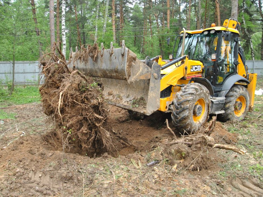 В Баку 30 деревьев ночью уничтожили экскаватором
