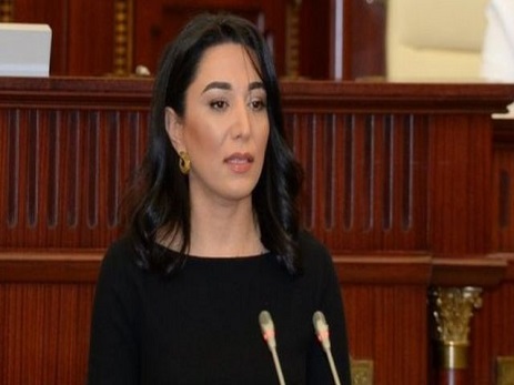 Azərbaycanın Ombudsmanı fəaliyyətini dondurub?