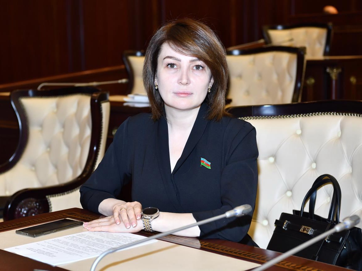 Азербайджанский депутат предлагает, чтобы вход в соцсети был по удостоверению личности