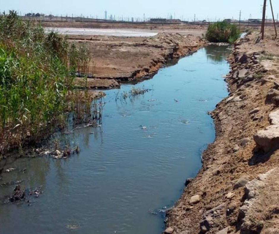 Генпрокуратура Азербайджана – о загрязнении озера Масазыр сточными водами – ФОТО