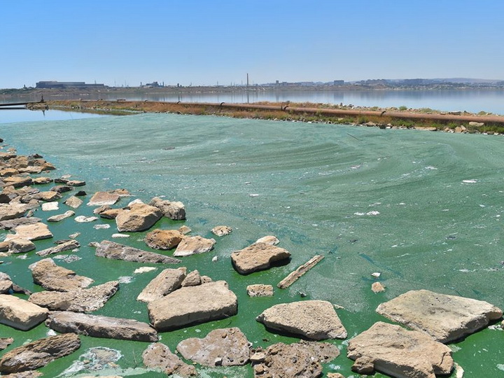 Беюкшор превратился в самое загрязненное озеро: бездействие убивает экологию Абшерона – ФОТО