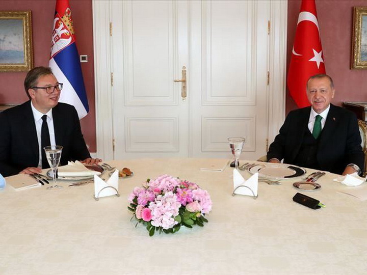 В Стамбуле прошли переговоры президентов Турции и Сербии