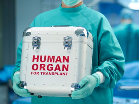 Введены ограничения на изъятие донорских органов у живых доноров