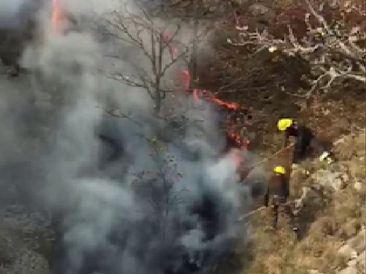 Потушен лесной пожар, вспыхнувший в Дашкесане в результате армянского обстрела - ФОТО - ВИДЕО – ОБНОВЛЕНО