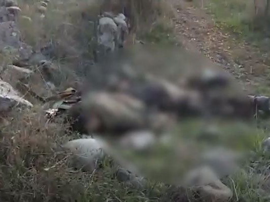 30 тел армянских военнослужащих переданы противнику - ОБНОВЛЕНО