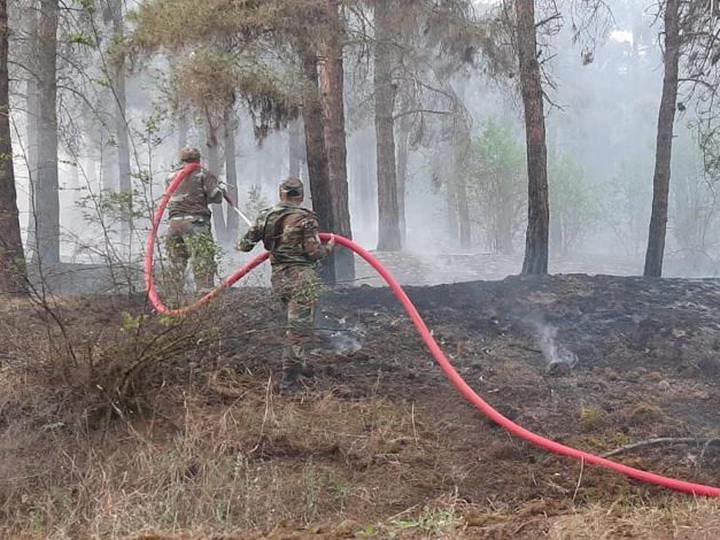Вспыхнувший в результате армянского обстрела пожар в лесу Гейгеля потушен