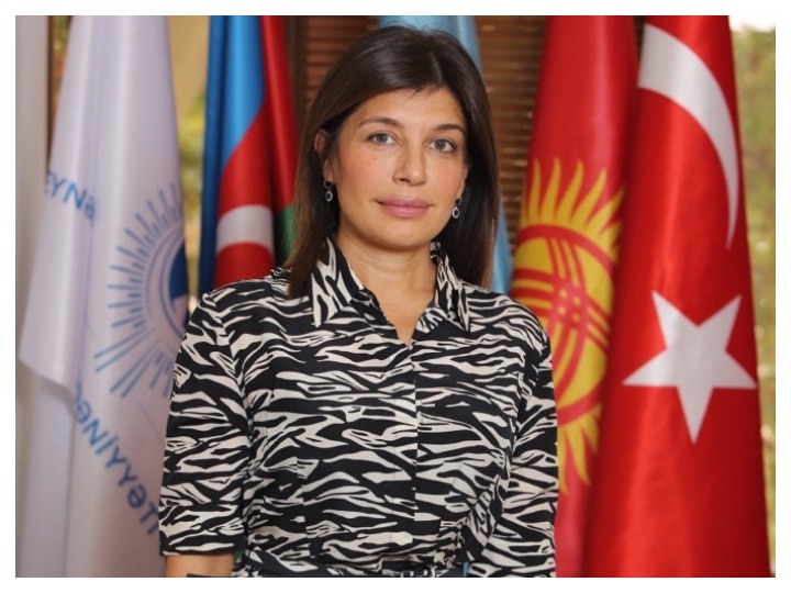 Гюнай Эфендиева: «Мы решительно осуждаем нападения Армении на гражданское население Азербайджана»
