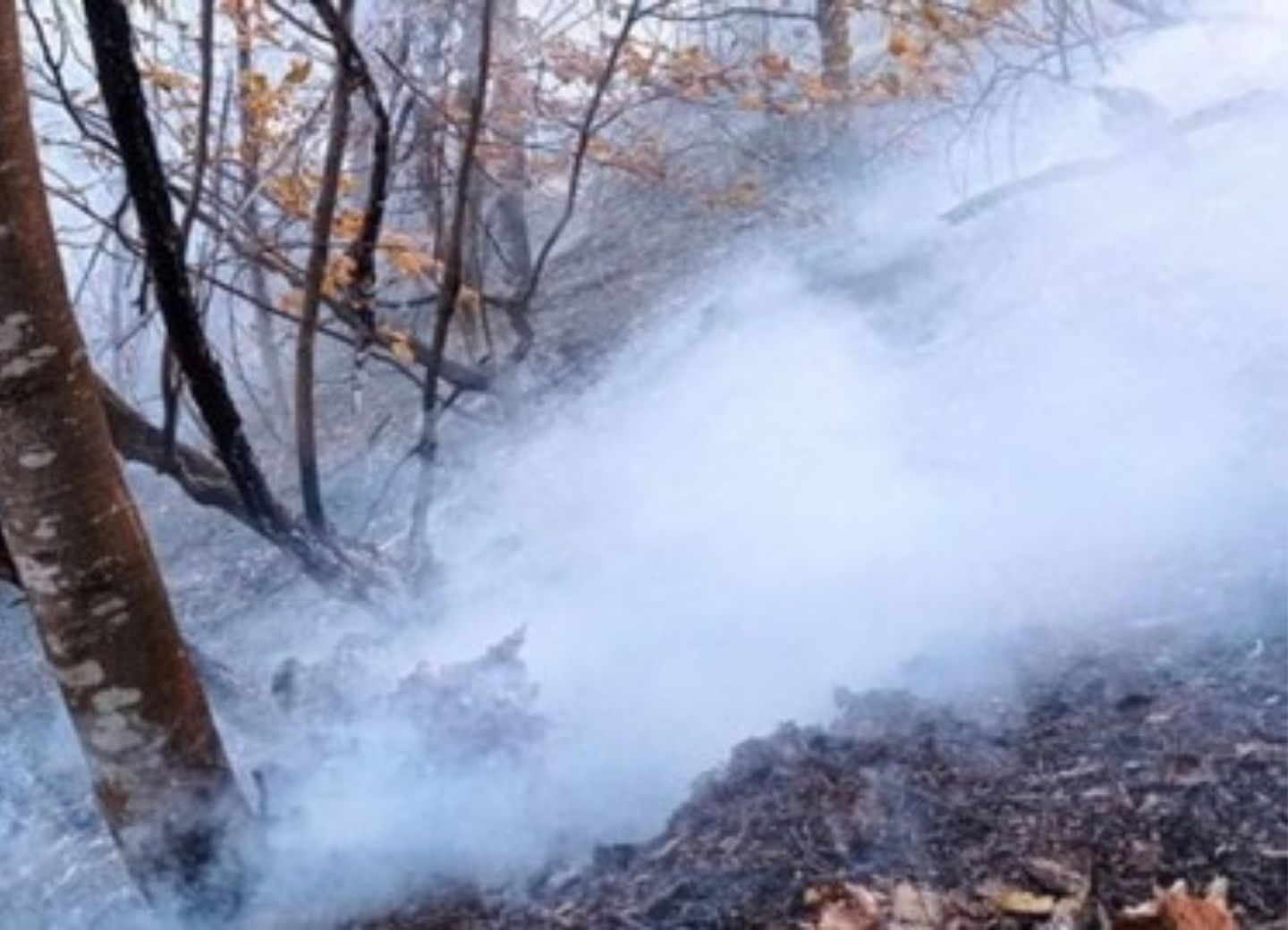 Армения совершает экологический террор, используя фосфор