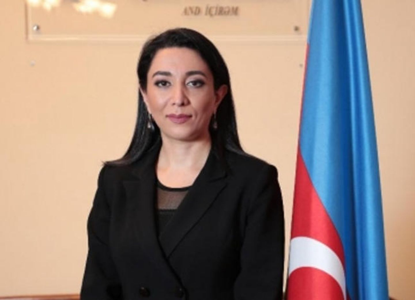 Омбудсмен Азербайджана обратилась к мировой общественности и международным организациям – ВИДЕО