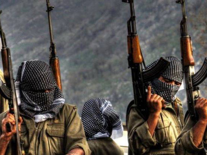 В Карабахе ликвидированы еще 9 террористов PKK/YPG