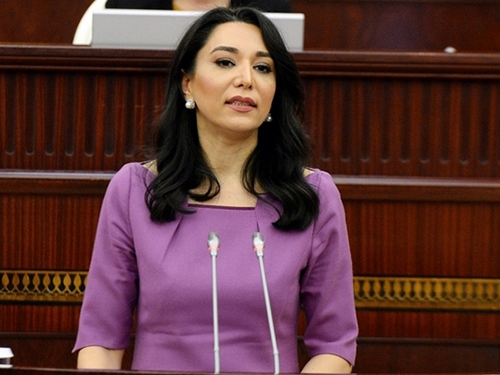 Ombudsman Ermənistanın Gəncəyə vurduğu ziyanlarla bağlı aralıq hesabat hazırlayıb