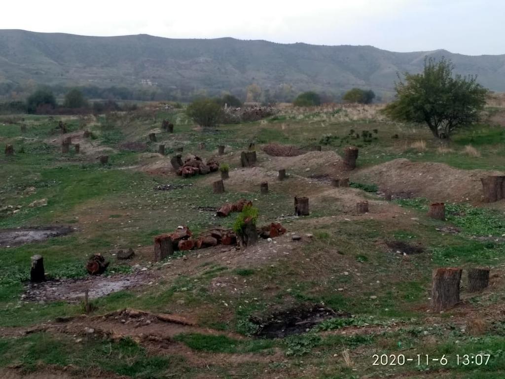 Экологический террор Армении: На деоккупированных территориях уничтожены сосновые и платановые леса – ФОТО