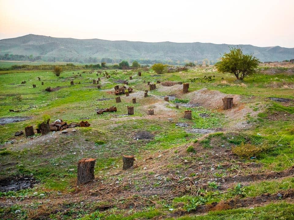 Эко-террор: На восстановление экологического баланса в Карабахе потребуется не один десяток лет