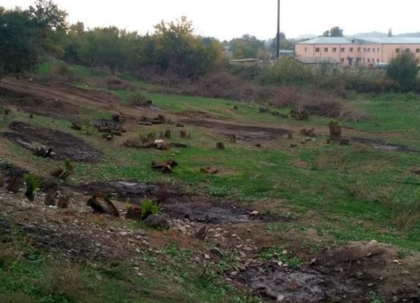 Армяне уничтожили в Губадлы природные памятники и вековые деревья