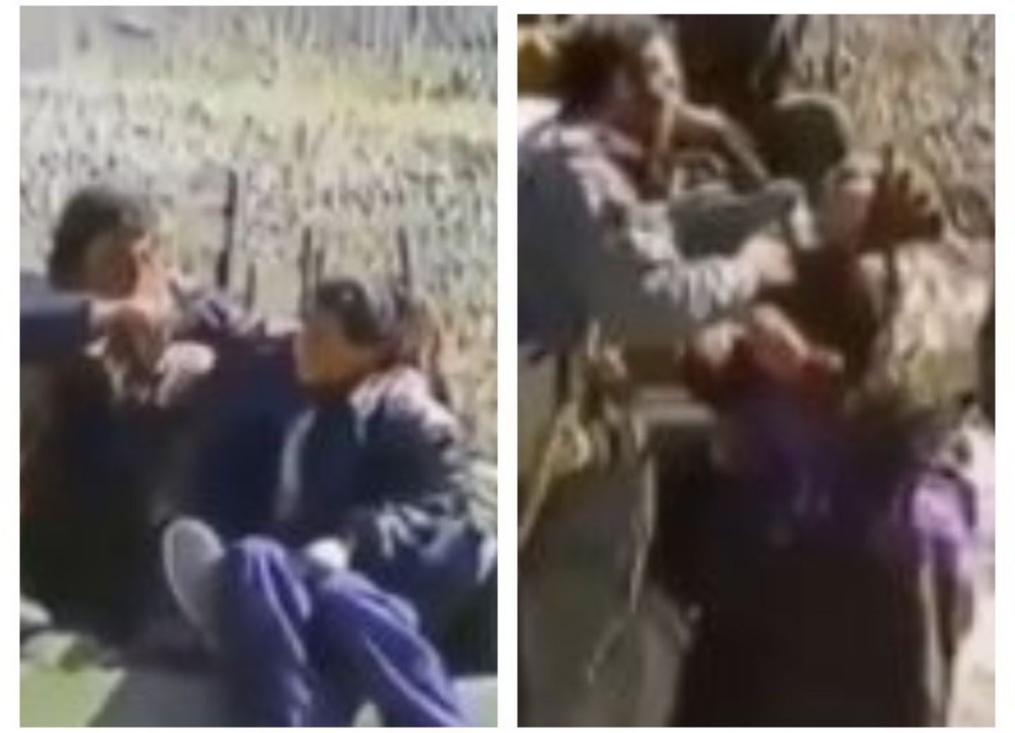 Реза Дегати показал, как армяне брали в плен мальчика на глазах у бабушки во время оккупации Кяльбаджара - ВИДЕО