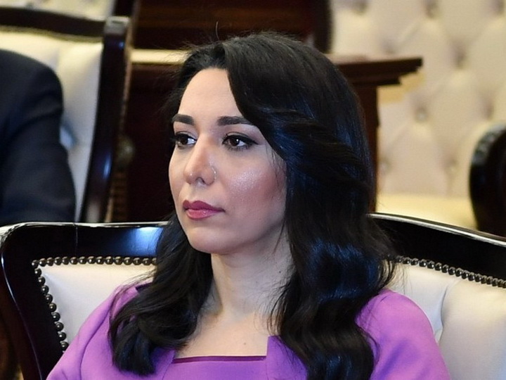 Омбудсмен Азербайджана обратилась в международные организации по поводу военных преступлений Армении