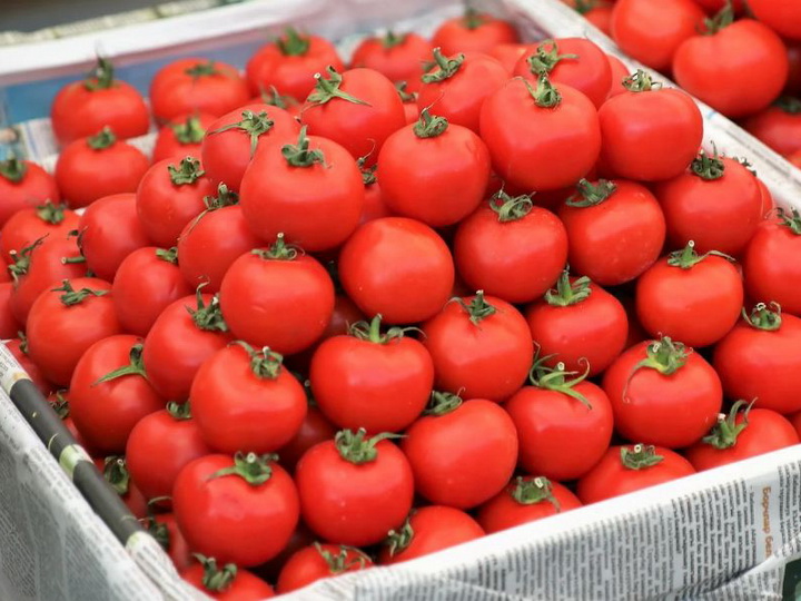В России могут вырасти цены на помидоры из-за запрета на их ввоз из Азербайджана