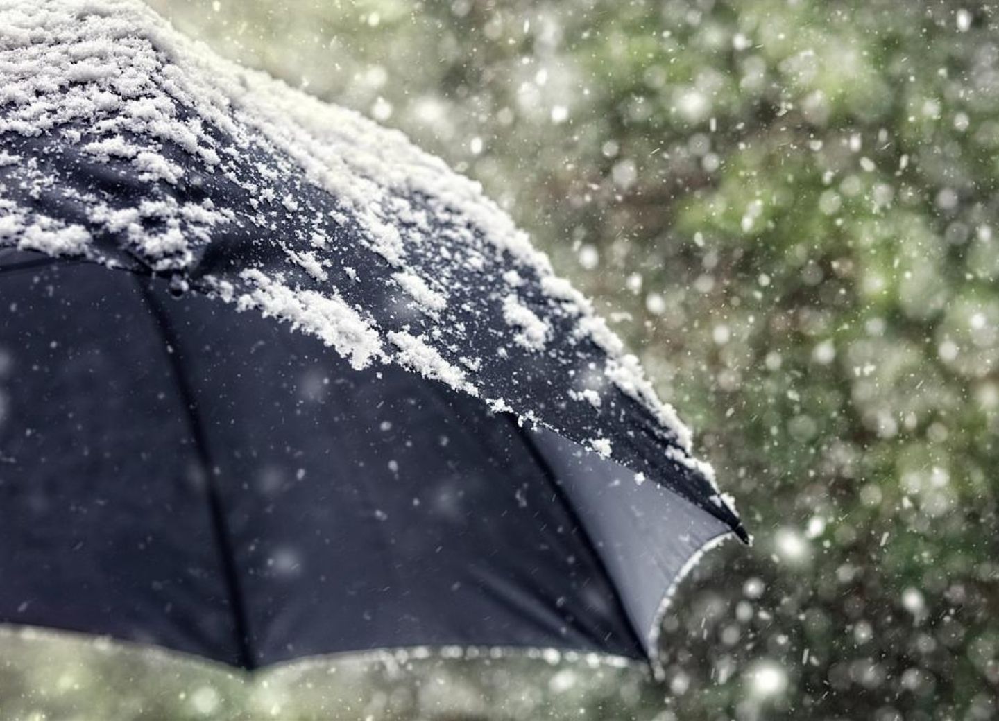 Женщина с зонтом в дождь со снегом